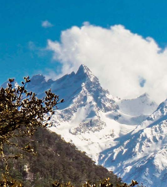 迷你星月黑科技