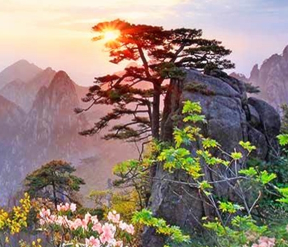 电商互动行为是什么意思