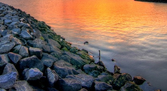 柳树创意画教案