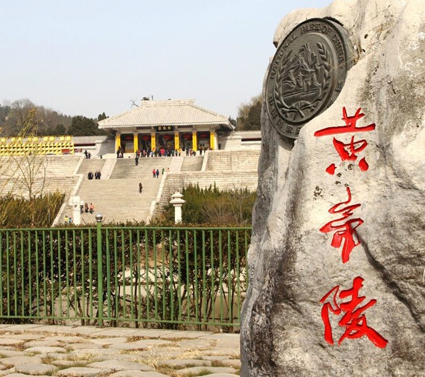 人体结构分布图人体器官分布图膀胱分布图