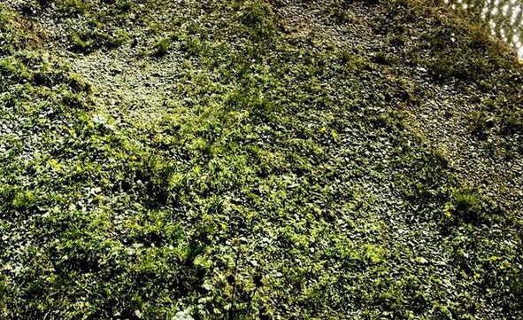 未来科技城房价