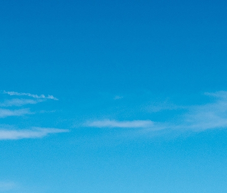 鲃鱼：是河豚还是另一种鱼类？