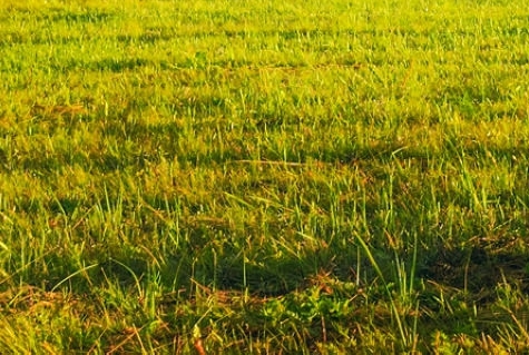 世界尽头的圣骑士