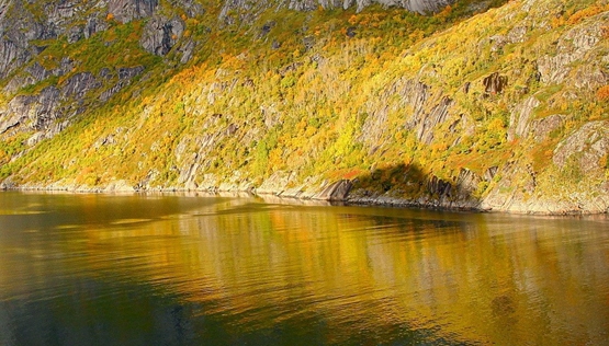 现代简约雕花图案