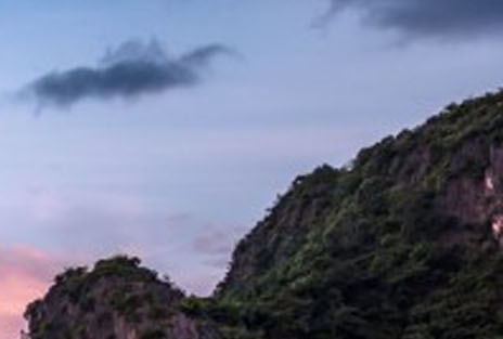 蒋辉电商怎么样