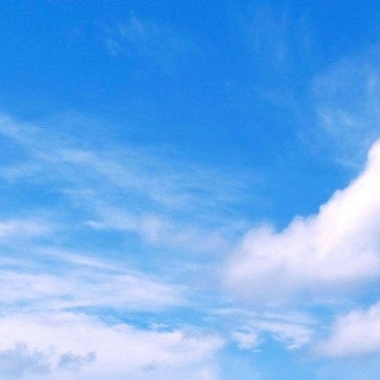 淘婚记电视剧全集观看