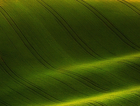 花园景观灯