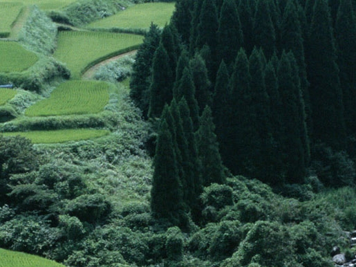 打造高效课堂