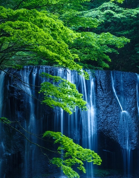 夫妻的世界多景和泰奥