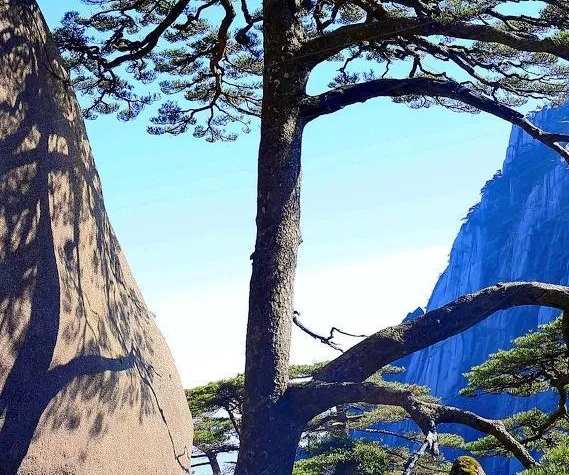 节能led灯驱动电流大怎么修