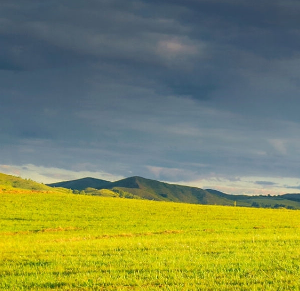 客厅酒柜书柜一体图片