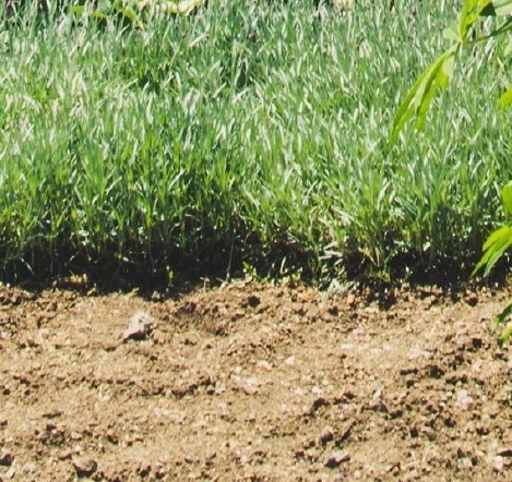 无印良品数字时钟使用说明书