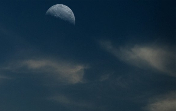 打毒蛇用什么核心