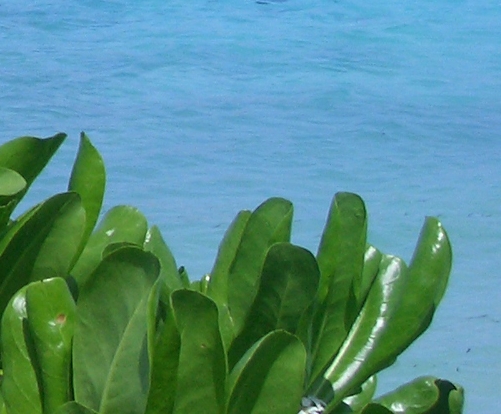 海底世界故事