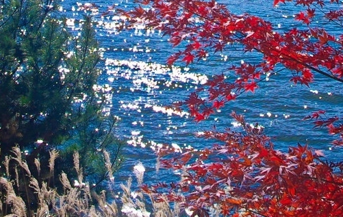 节能LED灯驱动电流大修法