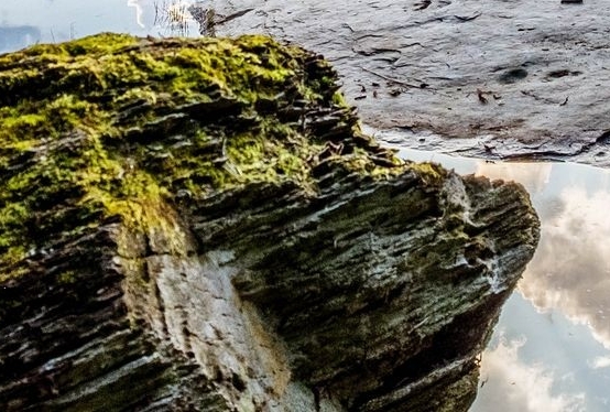 怎么改变世界等级