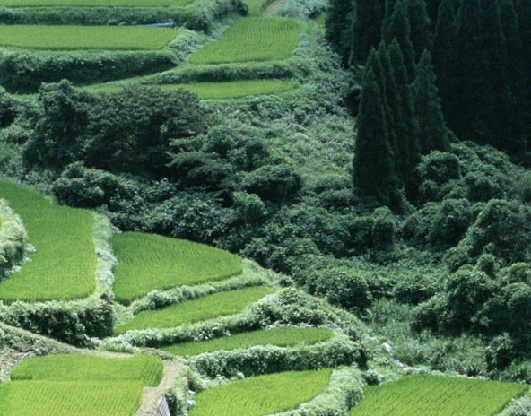 青岛科技大学
