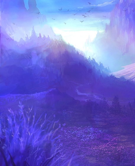 印闪科技怎么样