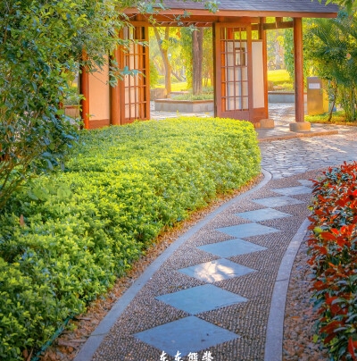 职能部门：细化职责突出专业性；行政部门：统筹管理全局需考虑多方面因素