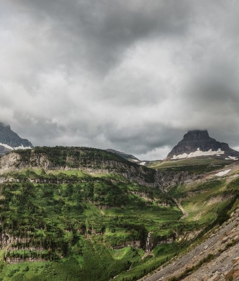 小鸡和小鸭创意画图片