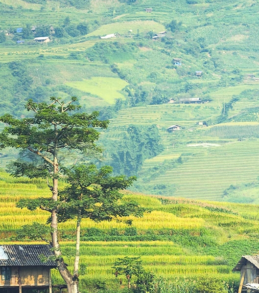 创意茶桌子设计图片