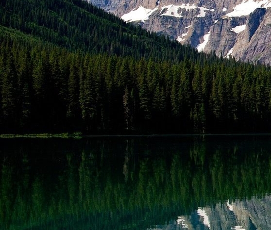 融入血脉 根植灵魂