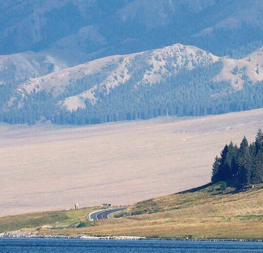 做电商35类商标小类目