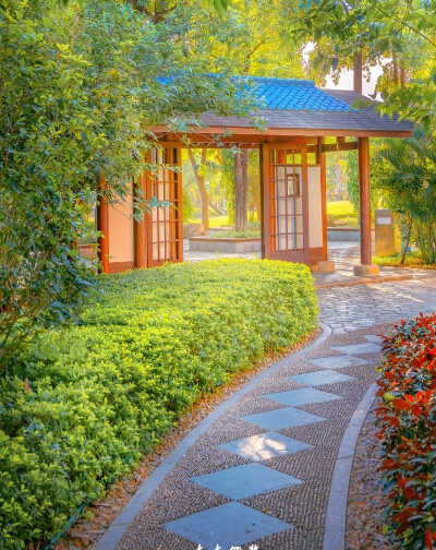 新部落直播电商：ao电商部落，助力网络营销与直播电商