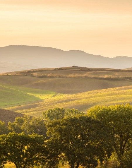 百利甜兑乌龙茶比例