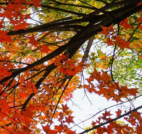 交响梦 苏打绿歌词