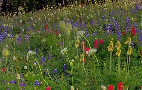 遗忘的八年小说免费阅读