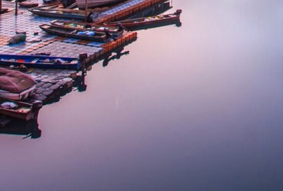 海鹚科技