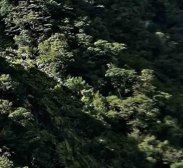 电商ERP：高效管理，快速成长，实现全面升级！