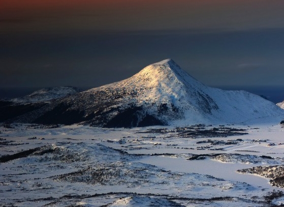 沈阳凡思达科技公司