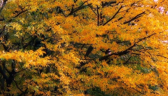 电商组群名字大全与电商组群名字大全介绍