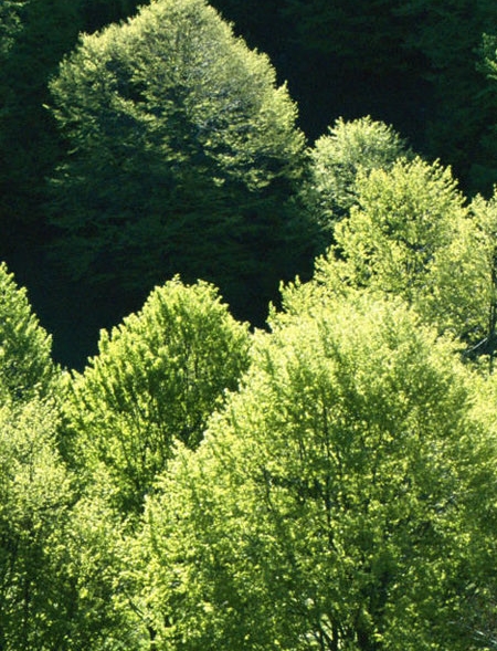 苏州到上海高铁要多久