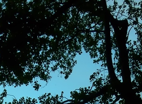 性取向是不是很难改变