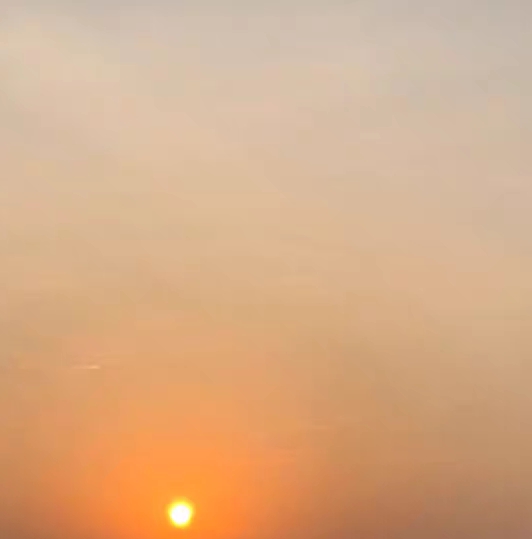 掘墓人之铲