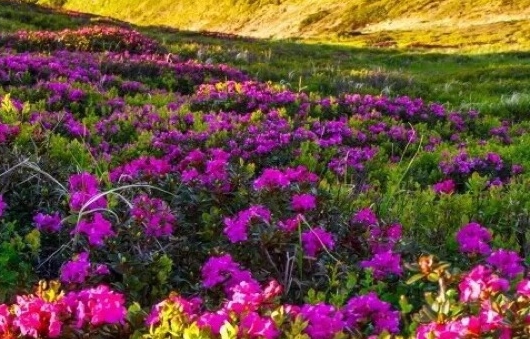 创意积木图片大全