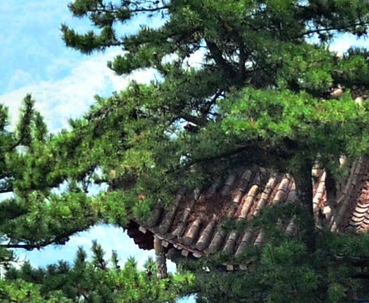 按摩机器
