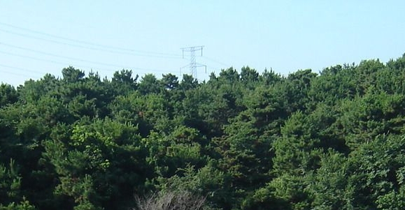 北京全迹科技
