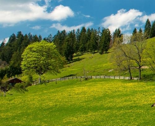 初入职场的目标