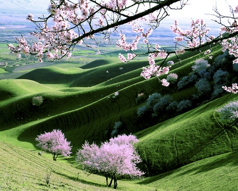 竹山属于哪个市