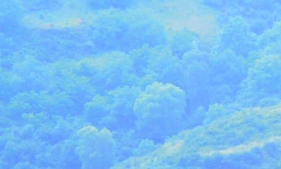 治疗之雨