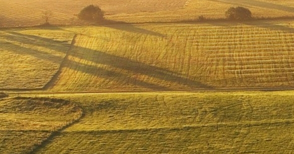 创意时钟手工制作图片