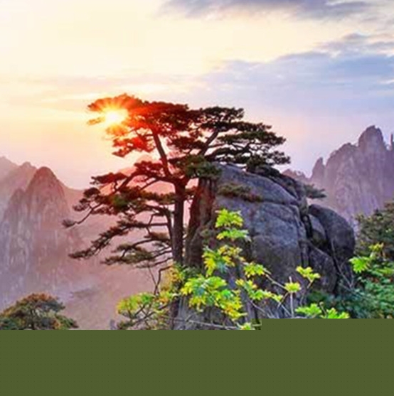 净化心灵书籍排行榜