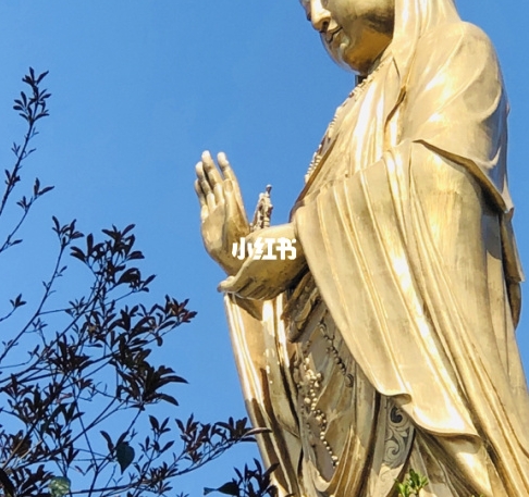 心灵痒吧