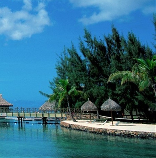 校运会的创意出场方式