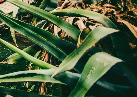 梦网科技