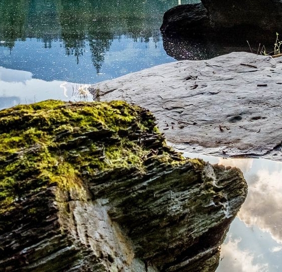 校考和联考是什么意思